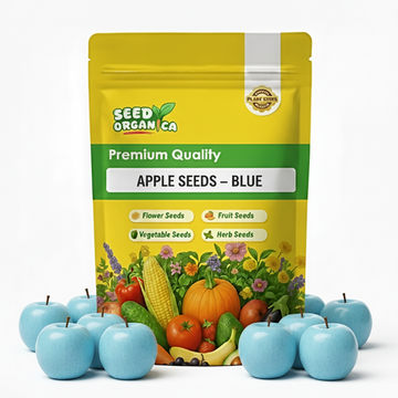 Apple Seeds – Blue
