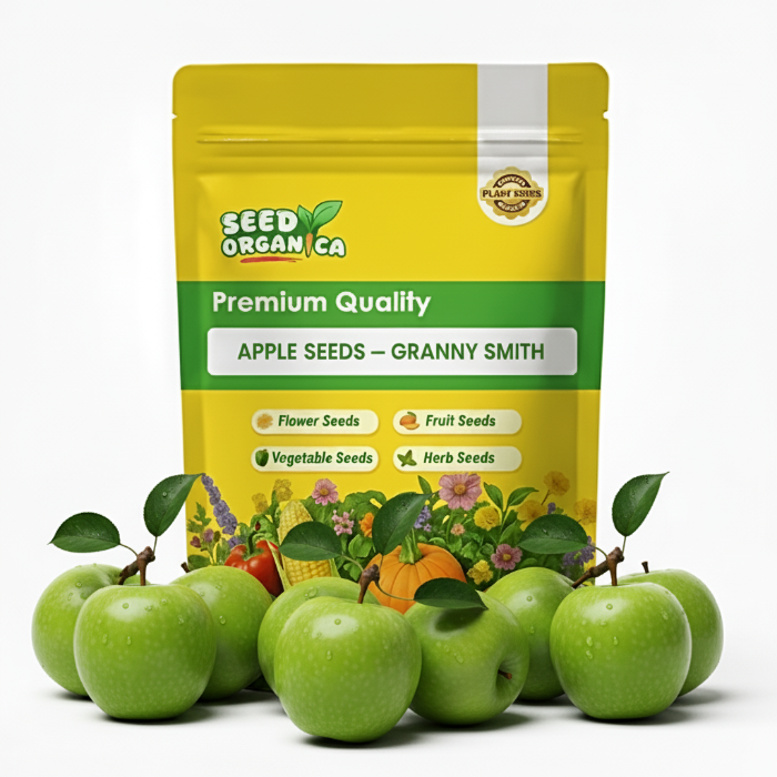 Apple Seeds – Granny Smith