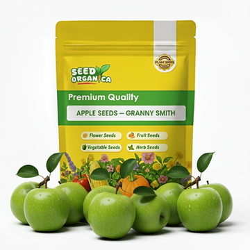 Apple Seeds – Granny Smith