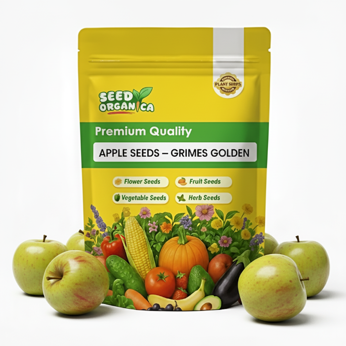 Apple Seeds – Grimes Golden