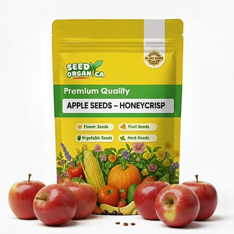 Apple Seeds – Honeycrisp