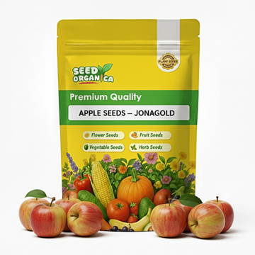 Apple Seeds – Jonagold