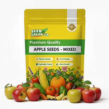 Apple Seeds – Mixed