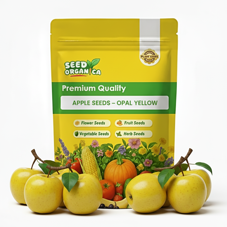 Apple Seeds – Opal Yellow