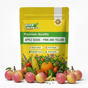 Apple Seeds – Pink and Yellow