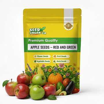 Apple Seeds – Red and Green