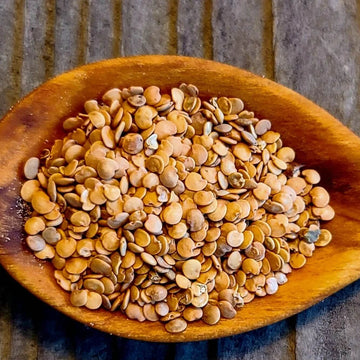 Applegreen Eggplant Seeds