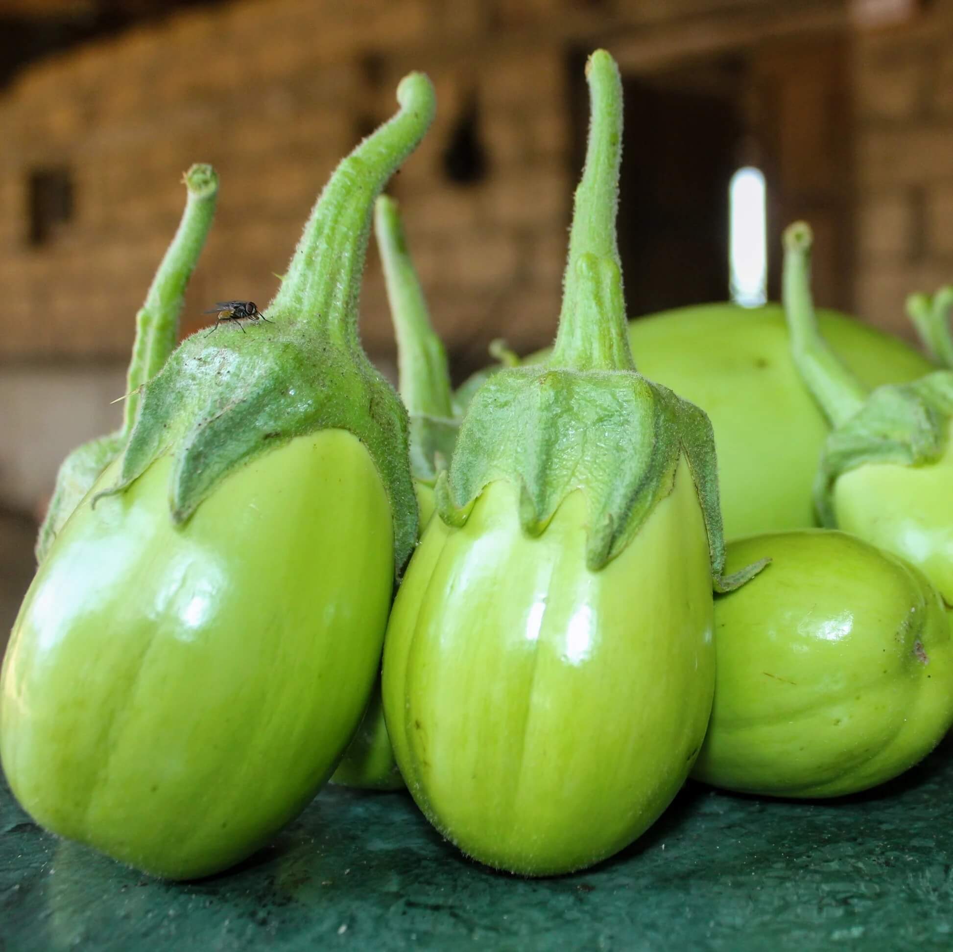 Applegreen Eggplant Seeds - Vegetable Plant