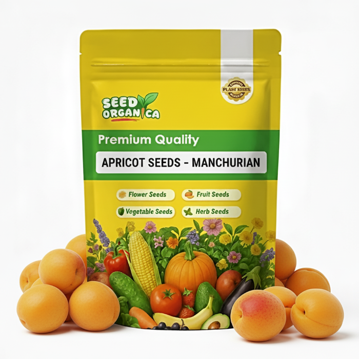 Apricot Seeds – Manchurian