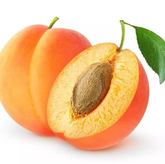 Apricot Seeds – Sweet Apricot