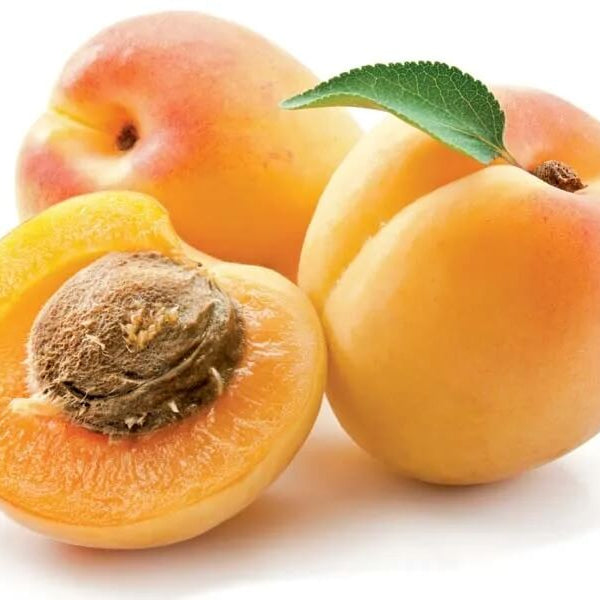 Apricot Seeds – Sweet Apricot