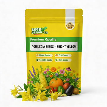Aquilegia Seeds – Bright Yellow