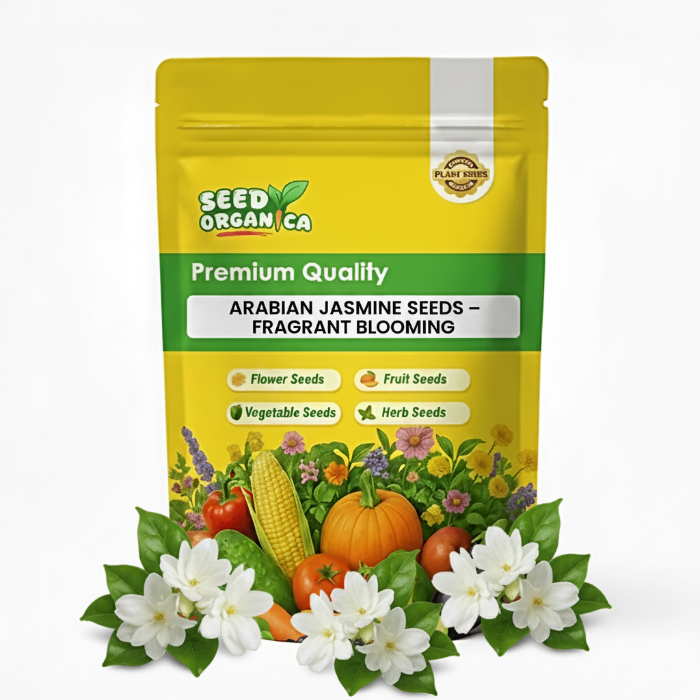 Arabian Jasmine Seeds – Fragrant Blooming