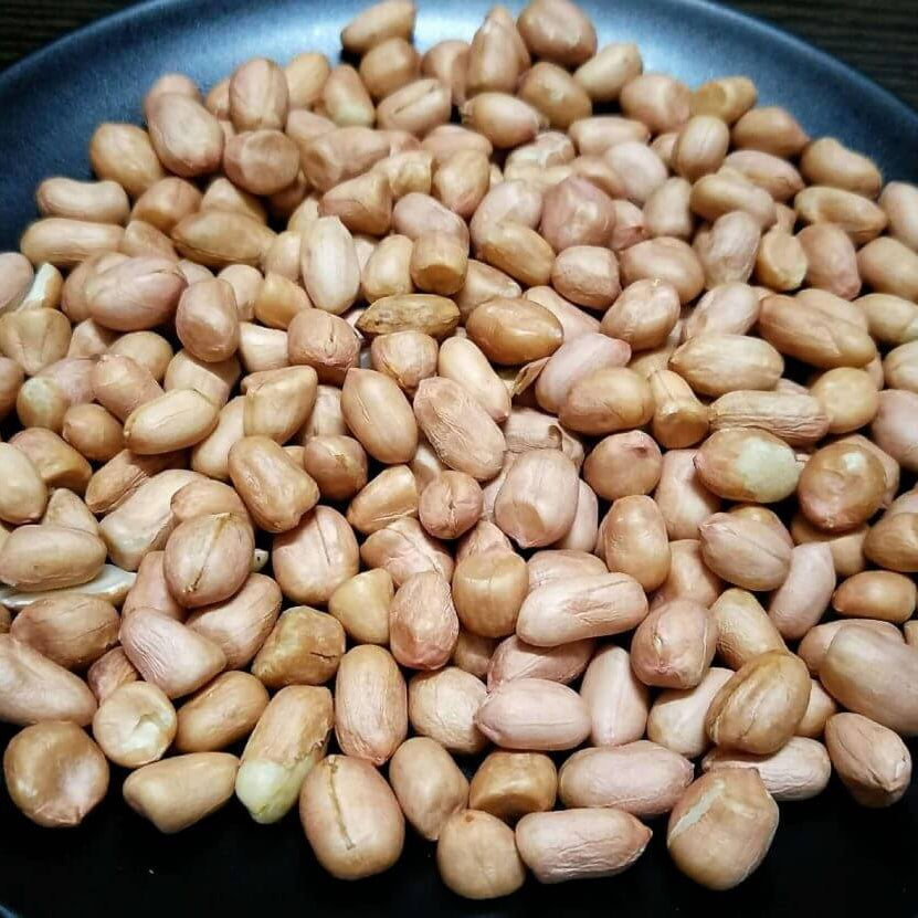 Arachis Seeds