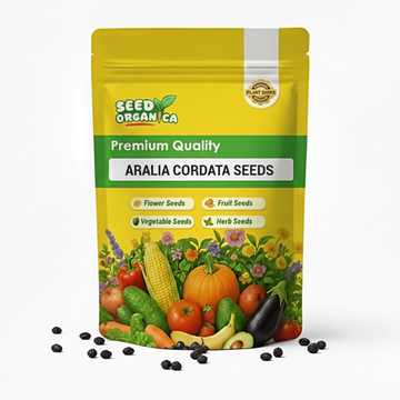 Aralia Cordata Seeds