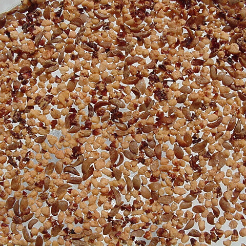 Arbutus Red Bayberry Seeds