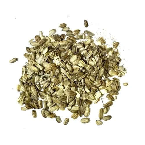 Archangelica Angelica Seeds