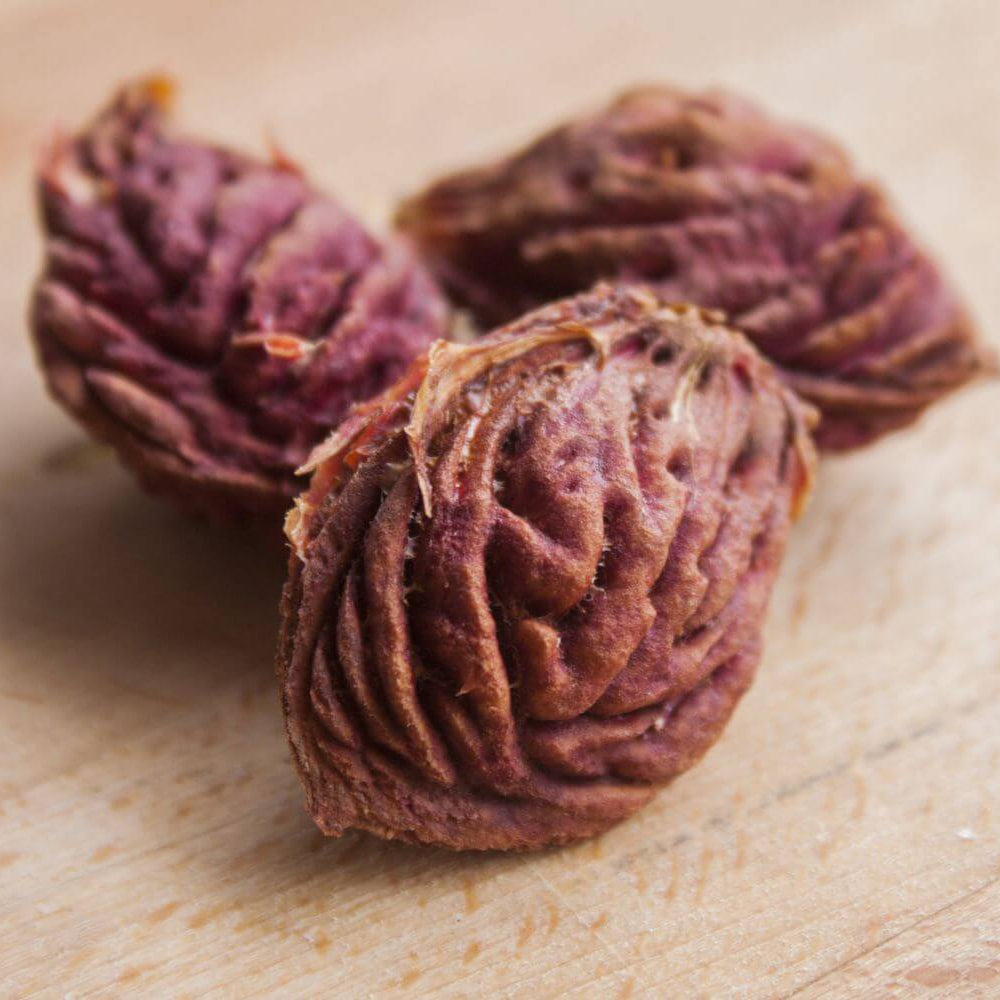 Arctic Supreme Peach Seeds 