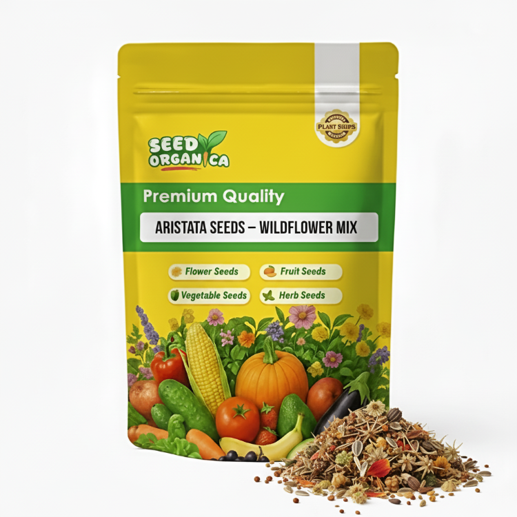 Aristata Seeds – Wildflower Mix