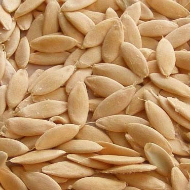 Armenian Cucumber Seeds 