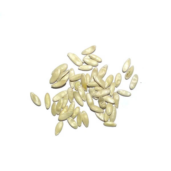 Armeno Yard Cucumber Seeds
