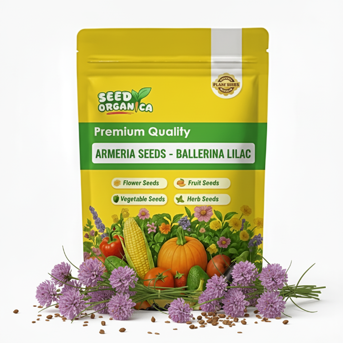 Armeria Seeds - Ballerina Lilac