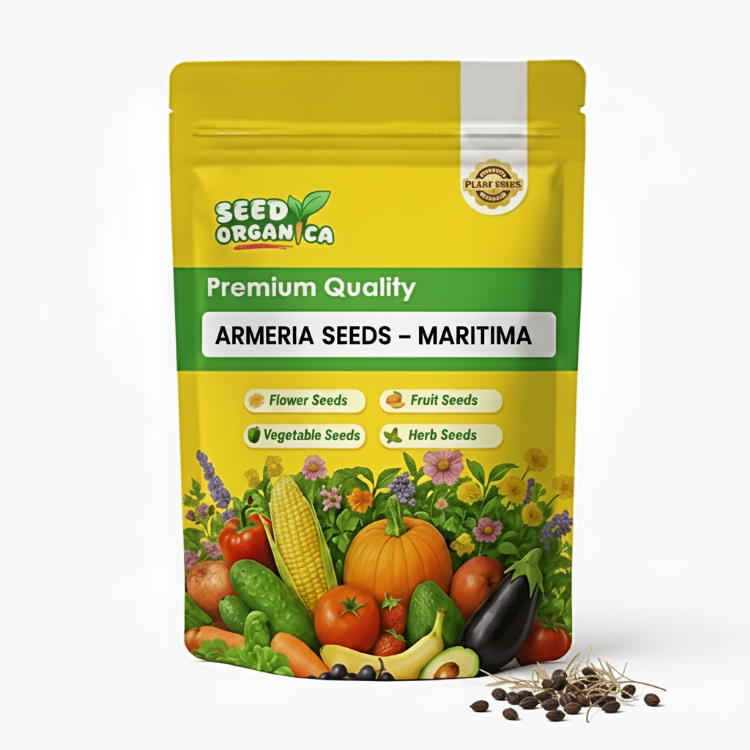 Armeria Seeds – Maritima