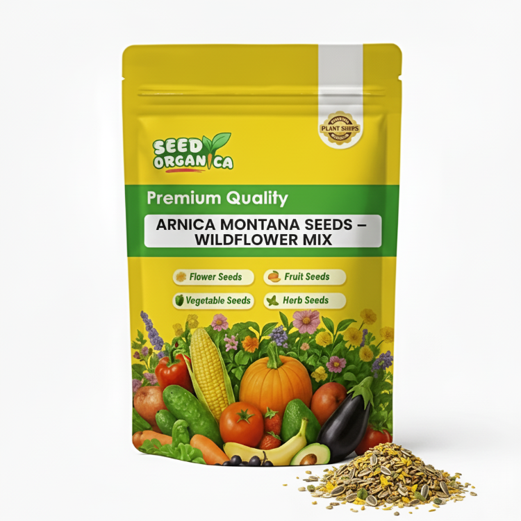 Arnica Montana Seeds – Wildflower Mix