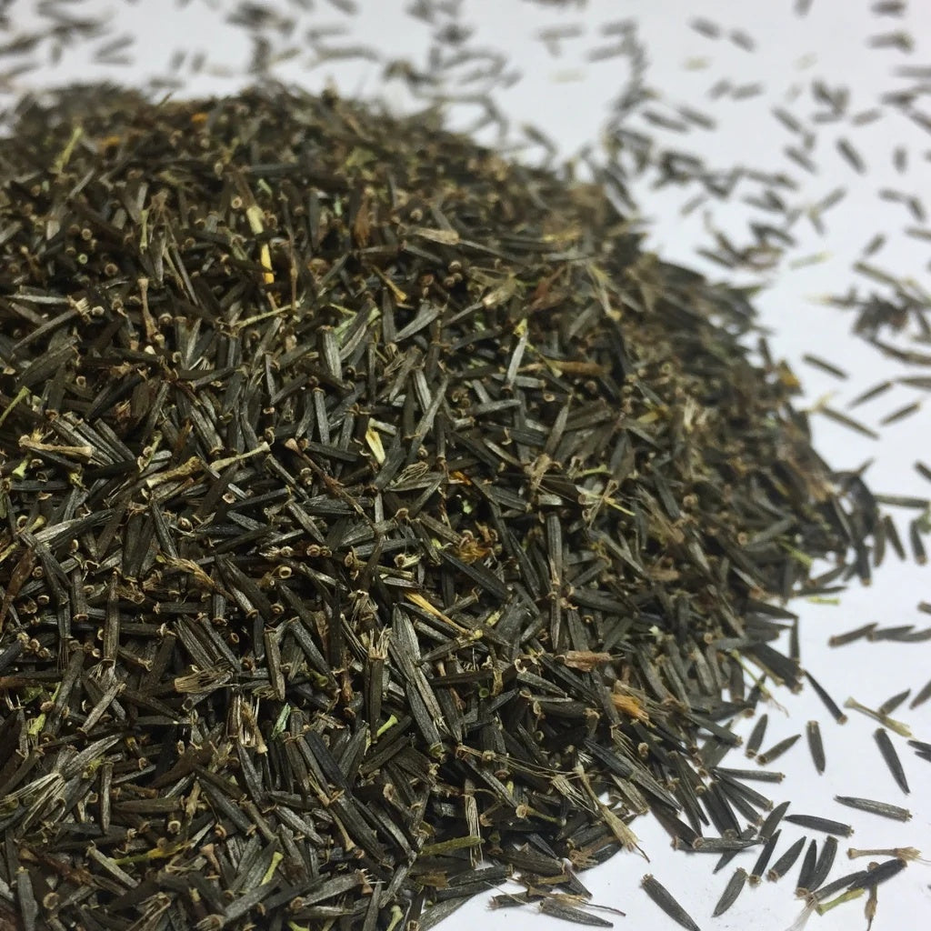 Arnica Seeds 