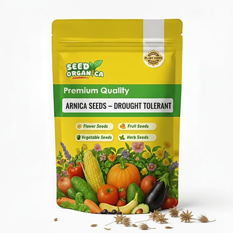 Arnica Seeds – Drought Tolerant