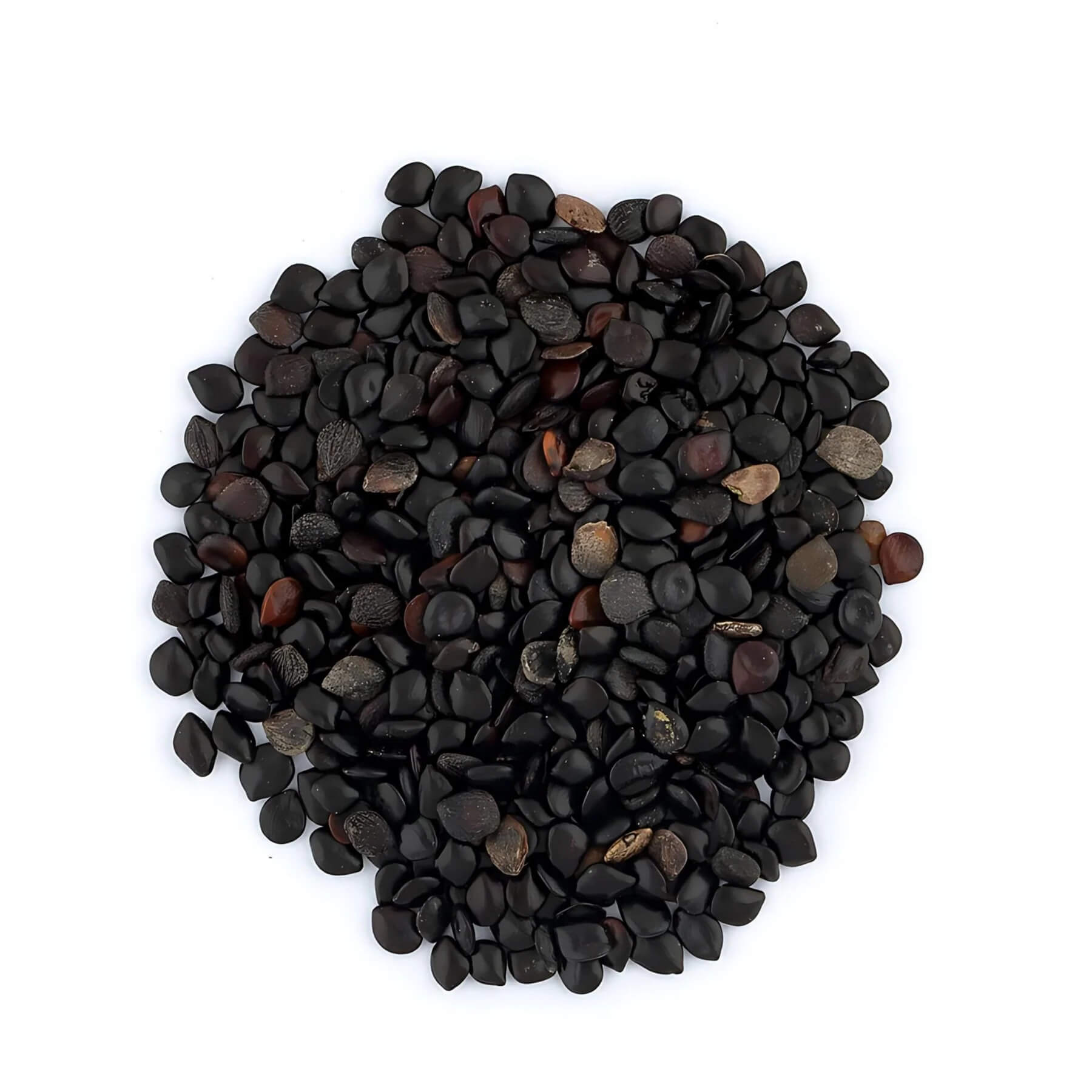 Aromatic Chinese Chive Seeds 