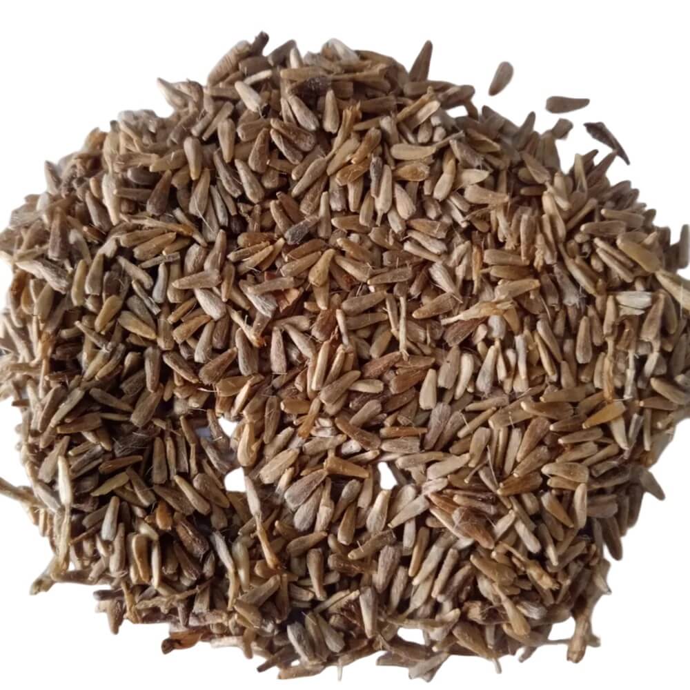 Aromatic Estragon Seeds 