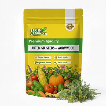 Artemisia Seeds – Wormwood