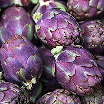 Artichoke Seeds – Purple
