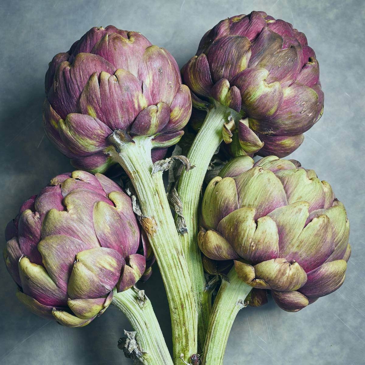 Artichoke Seeds - Romanesco