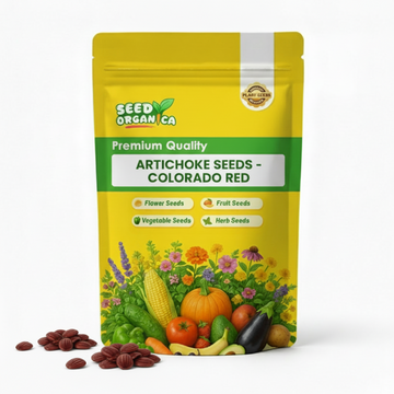 Artichoke Seeds - Colorado Red