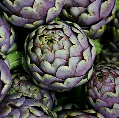 Artichoke Seeds - Green And Purple
