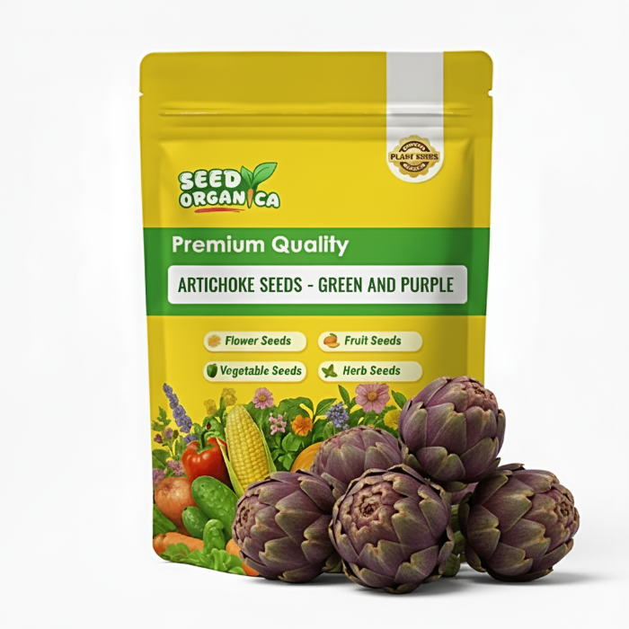 Artichoke Seeds - Green And Purple