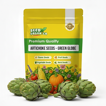 Artichoke Seeds - Green Globe