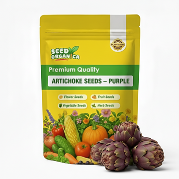 Artichoke Seeds – Purple