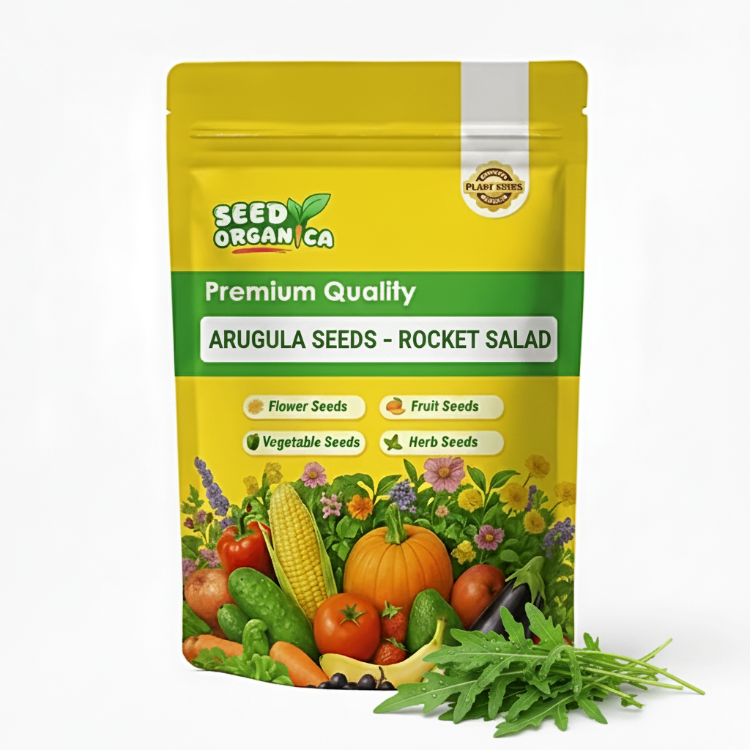 Arugula Seeds – Rocket Salad