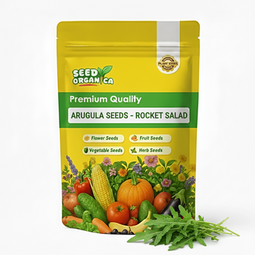 Arugula Seeds – Rocket Salad
