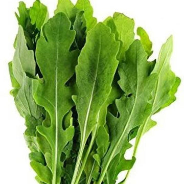 Arugula Seeds – Roquette