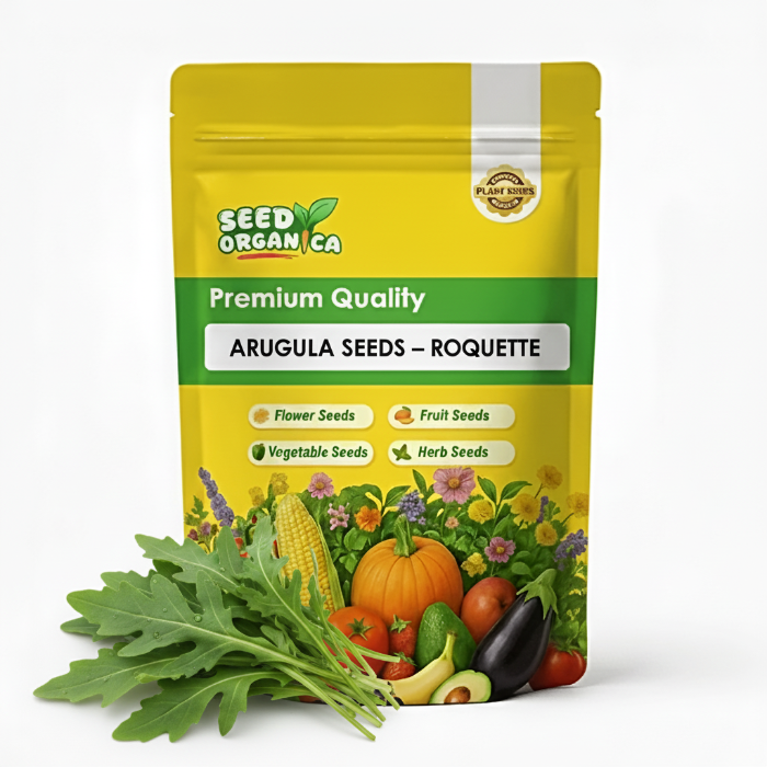 Arugula Seeds – Roquette