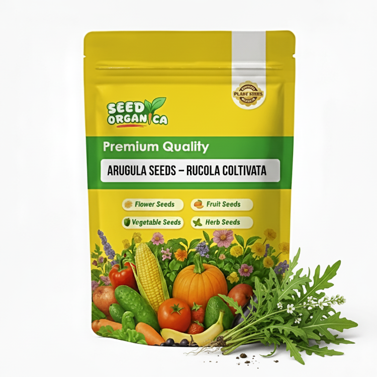 Arugula Seeds – Rucola Coltivata