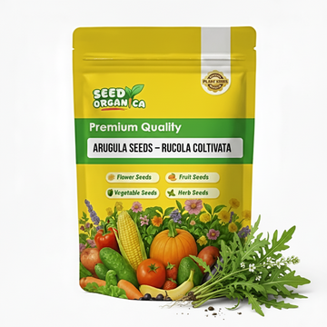 Arugula Seeds – Rucola Coltivata