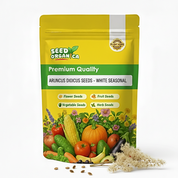 Aruncus Dioicus Seeds – White Seasonal