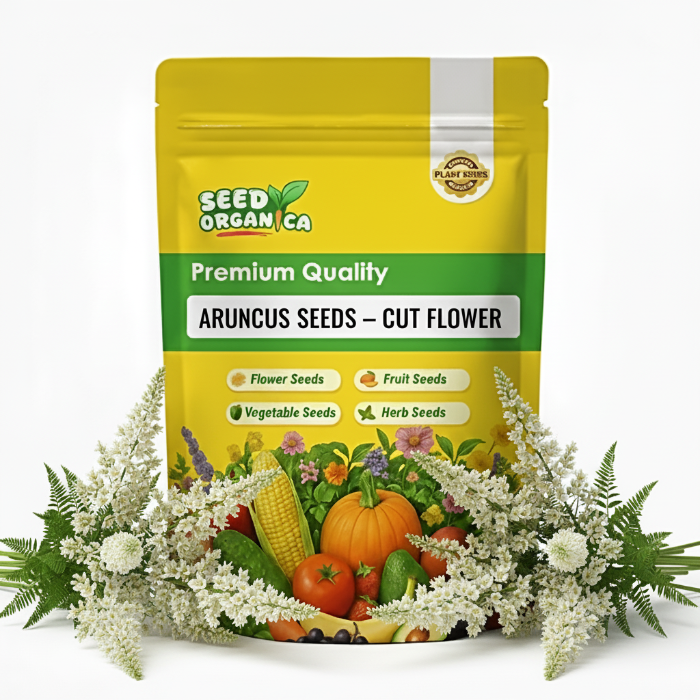 Aruncus Seeds – Cut Flower