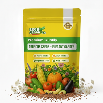 Aruncus Seeds – Elegant Garden