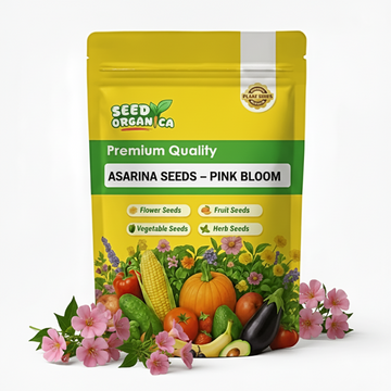 Asarina Seeds – Pink Bloom